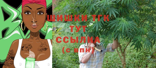 тгк Абинск