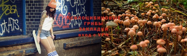 спайс Абдулино