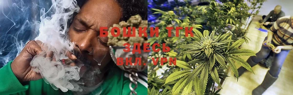 тгк Абинск